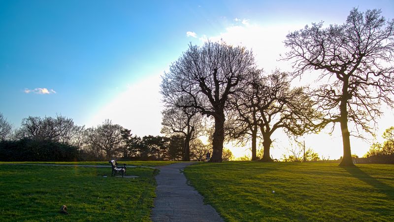 path, trees, walk, bench, silence, 4k