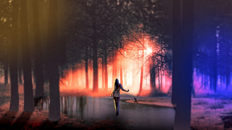 women, cats, swamp, digital art