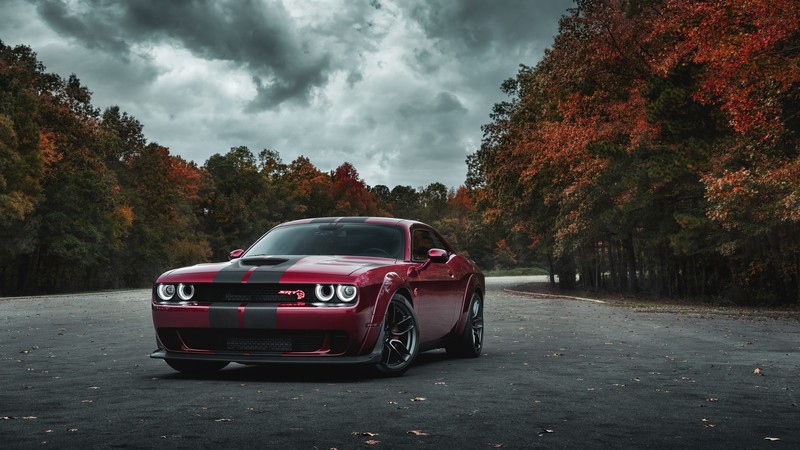 car, red cars, trees, fall, vehicle, Dodge Challenger SRT