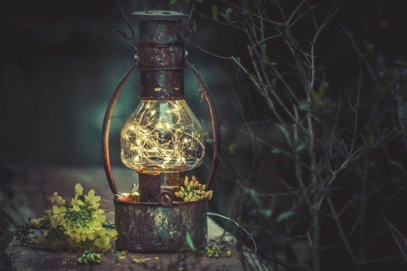 lantern, flowers, lamp, plants
