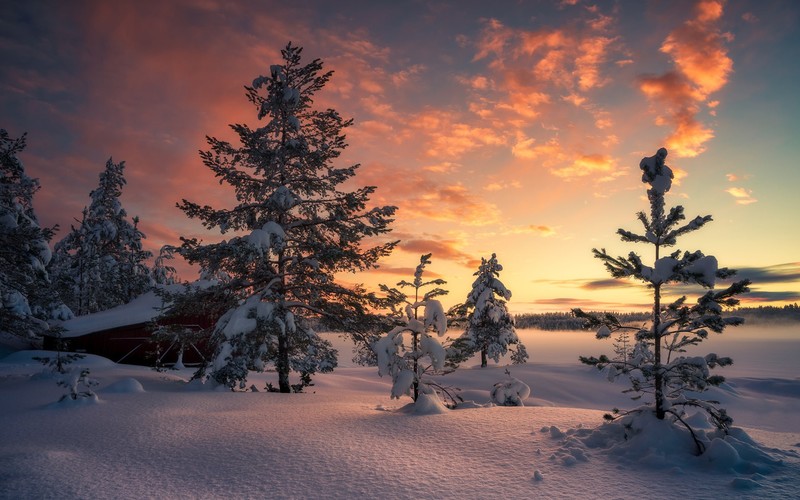 winter, nature, sunset, barn, snow