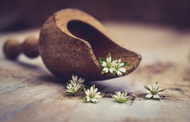 macro, flowers, plants, wooden surface