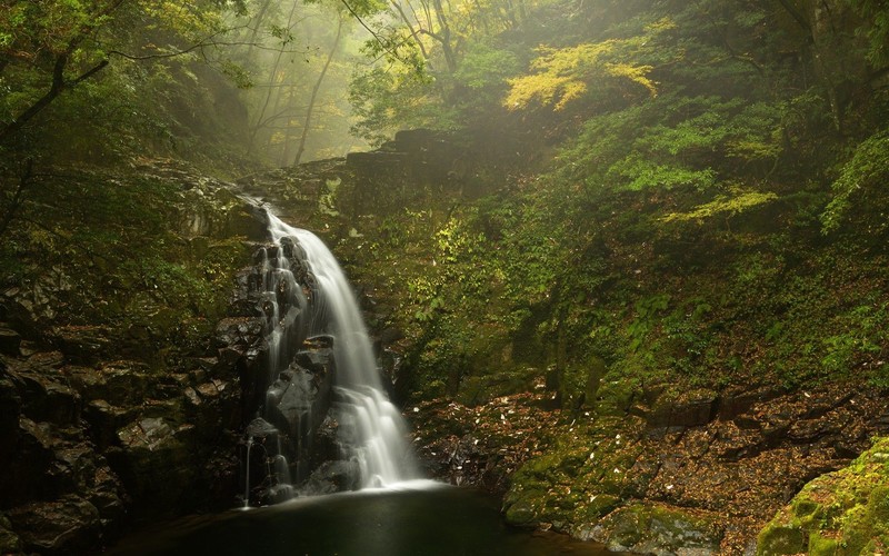 nature, landscape, trees, waterfall, leaves, rocks, moss, mist
