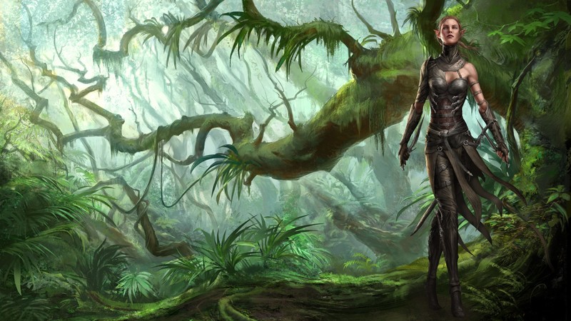 Divinity: Original Sin 2, video game art, artwork, digital art, video game characters, RPG, forest, elves, dagger, Sebille, trees, fantasy art, Larian studios, fantasy girl, PC gaming, video games, frontal view