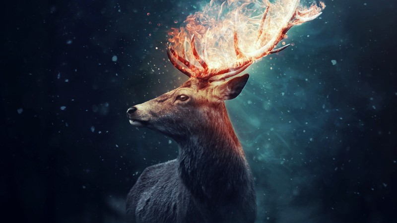 artwork, depth of field, fire, horns, digital art