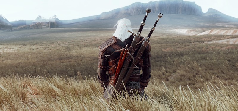 The Witcher, Geralt of Rivia, grass, video games, PC gaming, digital, sword