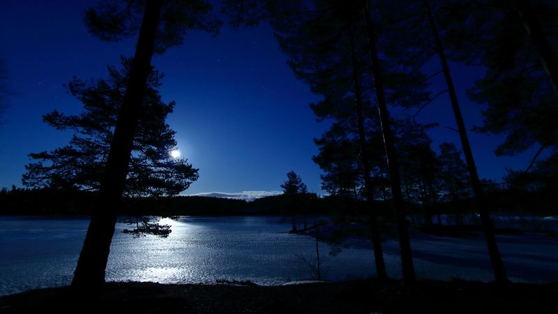 trees, night, lake, distance, sky, norway, 4k