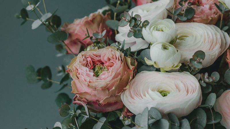 bouquet, flowers, composition, decoration, 4k