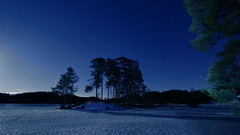 starry sky, winter, snow, trees, night, twilight, 4k
