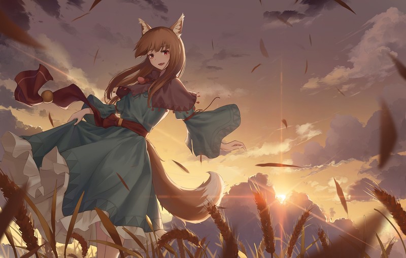 Holo (Spice and Wolf), Spice and Wolf, spike, sky, Sun, wolf ears, low-angle
