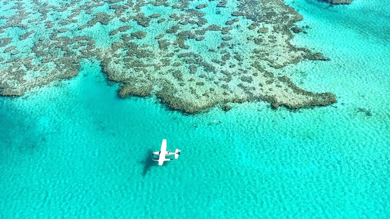nature, landscape, far view, sea, clear water, water, airplane, water ripples, coral, coral reef, Great Barrier Reef, aerial view