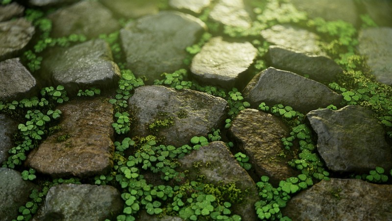 grass, digital art, cobblestone, rocks, nature, Vasilina Sirotina, clovers