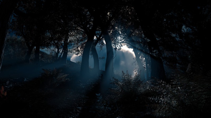 Assassins Creed: Odyssey, screen shot, Video Game Landscape, night