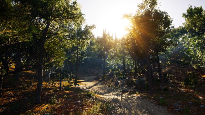 Assassins Creed: Odyssey, screen shot, Video Game Landscape, path