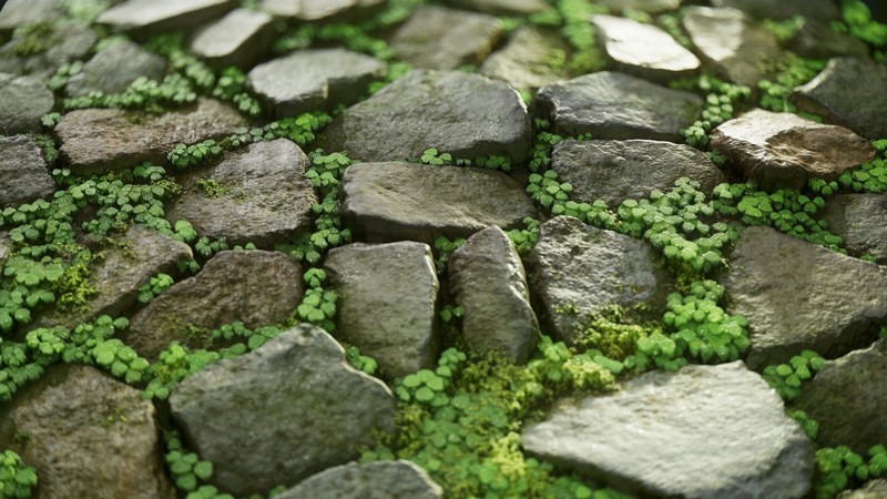 grass, digital art, cobblestone, rocks, nature, Vasilina Sirotina, clovers, stones
