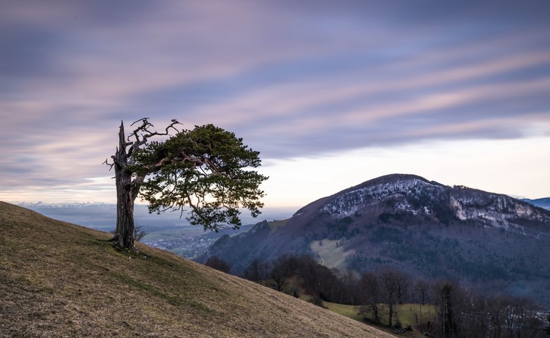 landscape, nature, sky, outdoors, trees
