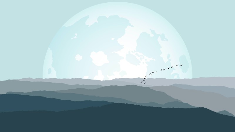 minimalism, Moon, landscape, birds, mist