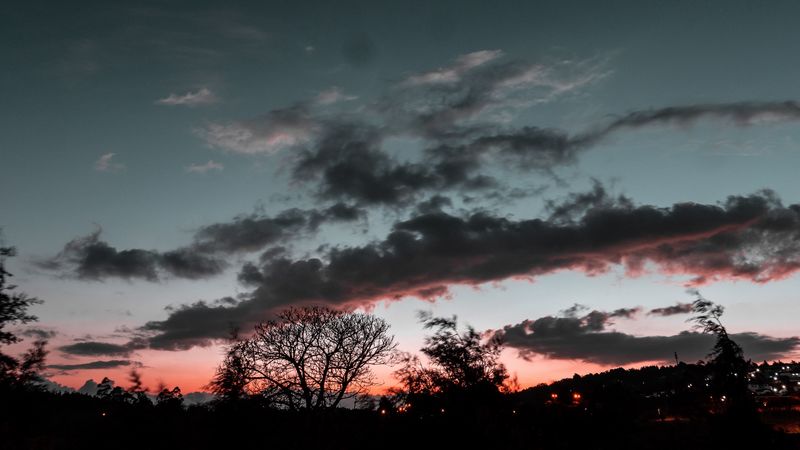trees, sunset, sky, night, clouds, moon, 4k