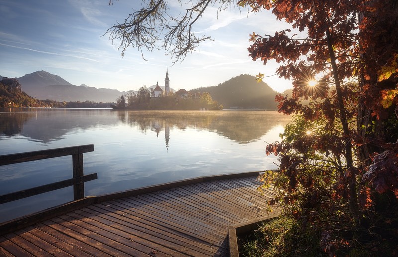 trees, water, lake