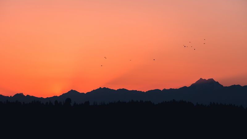 mountains, sunset, outlines, birds, 4k
