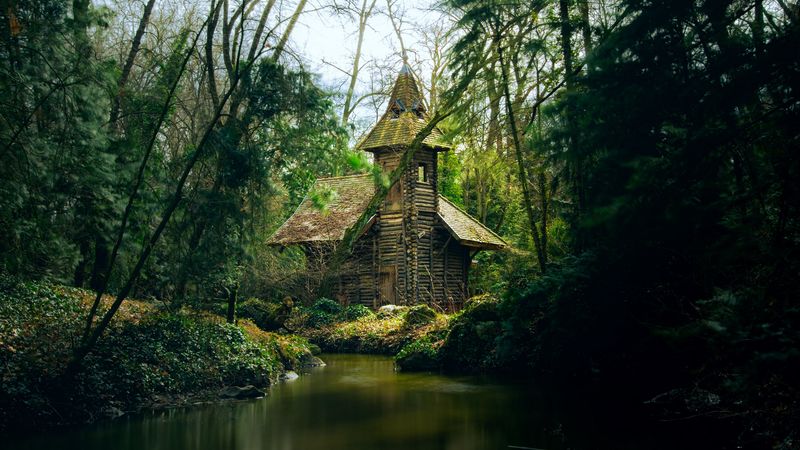 house, river, trees, branches, forest, 4k