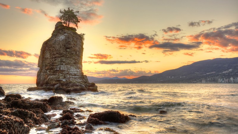 nature, landscape, trees, rocks, water, waves, moss, sunset, sky, clouds, sea, coast, town, British Columbia, Canada
