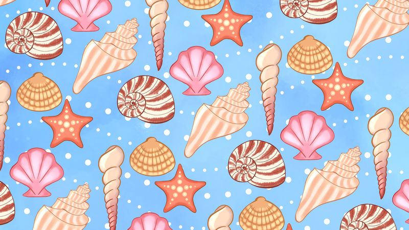 shells, conch, pattern, starfish, 4k