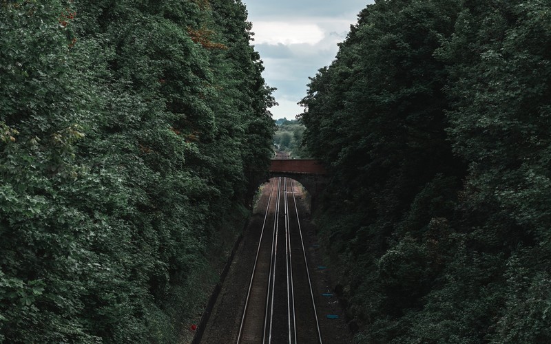 nature, railroad track, trees, sky