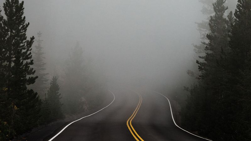 road, fog, marking, asphalt, turn, trees, 4k HD Wallpaper