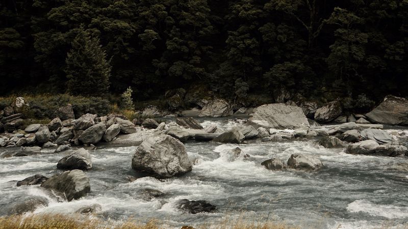 river, current, stones, trees, grass, 4k