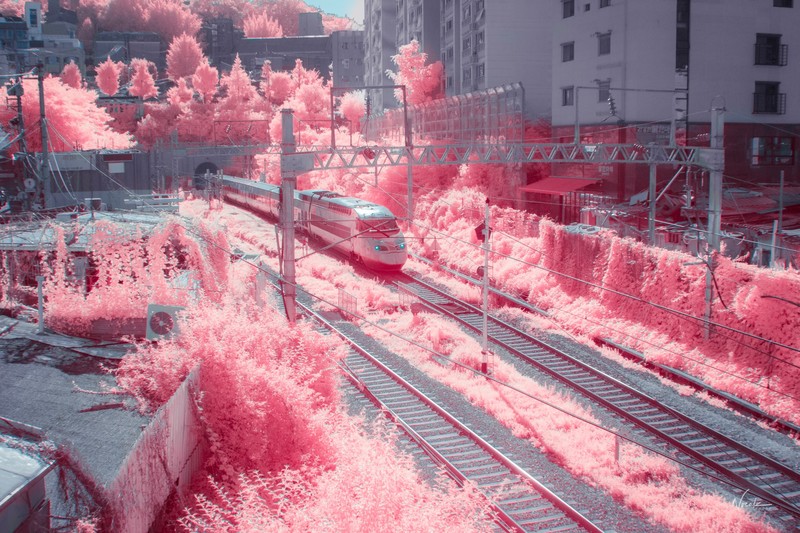 watermarked, train, Korean, CGI