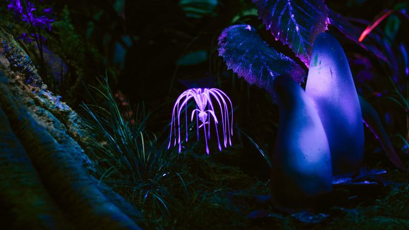 plant, glow, dark, 4k