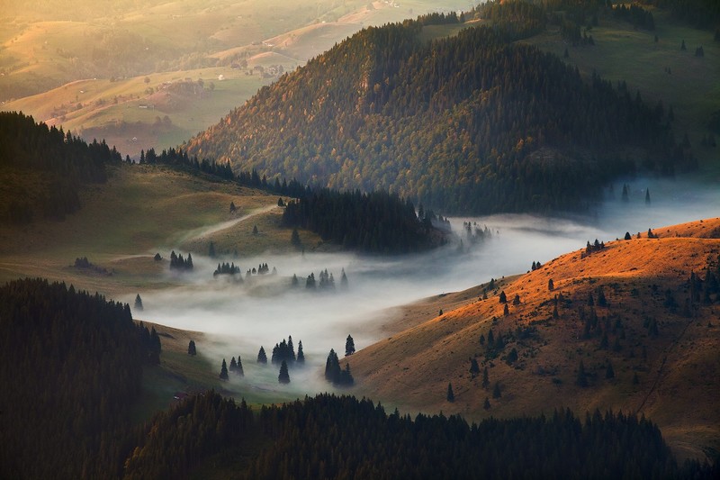 nature, landscape, mountains, valley, mist, trees, forest, hill, pine trees, Romania, fall