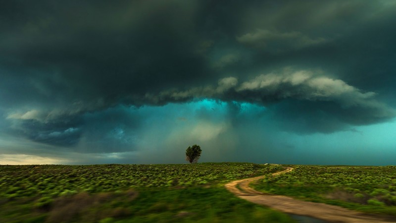 landscape, nature, clouds, sky, storm, trees, plants, dirt road, Monsoon, Colorado, USA