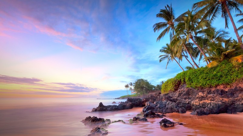 landscape, nature, beach, trees, plants, coast, clouds, sky, horizon, sand, rocks, sunset, palm trees, Hawaii, USA, water, sea, Pacific Ocean