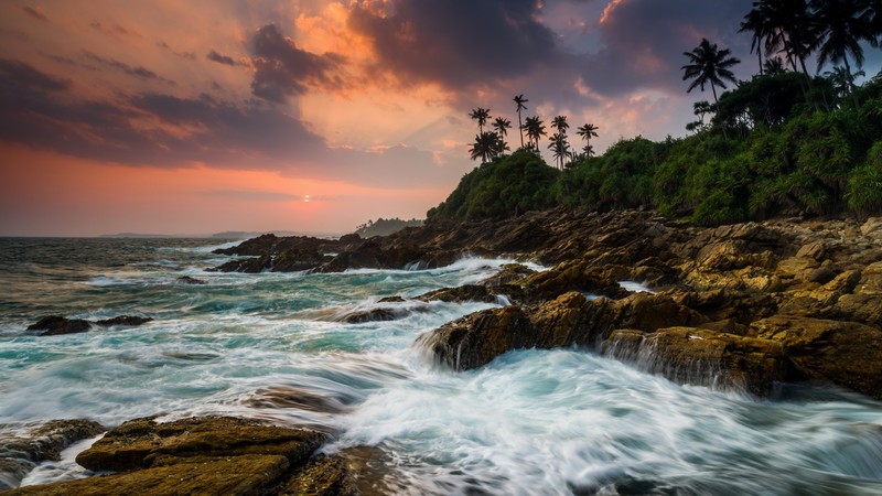 nature, landscape, trees, forest, rocks, moss, water, long exposure, clouds, sky, sunset, Sun, horizon, sea, Tangalle, Sri Lanka, Indian Ocean