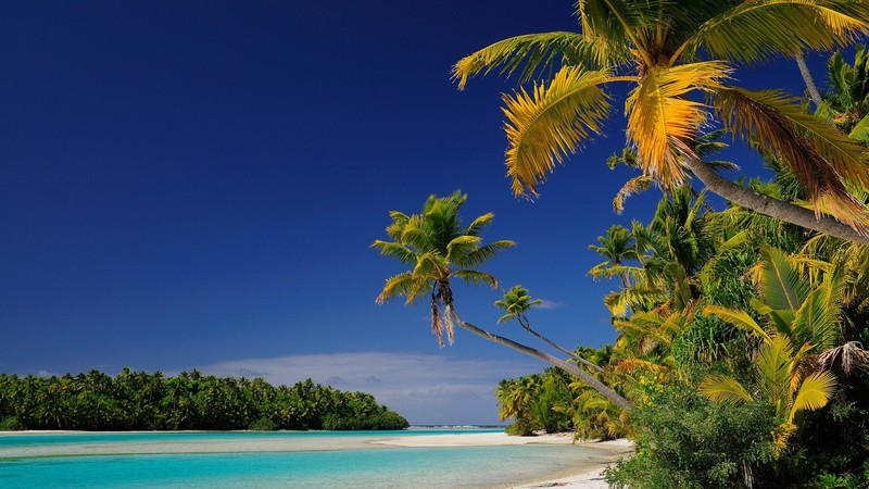 nature, landscape, trees, forest, clouds, sky, beach, plants, palm trees, sand, One Foot Island