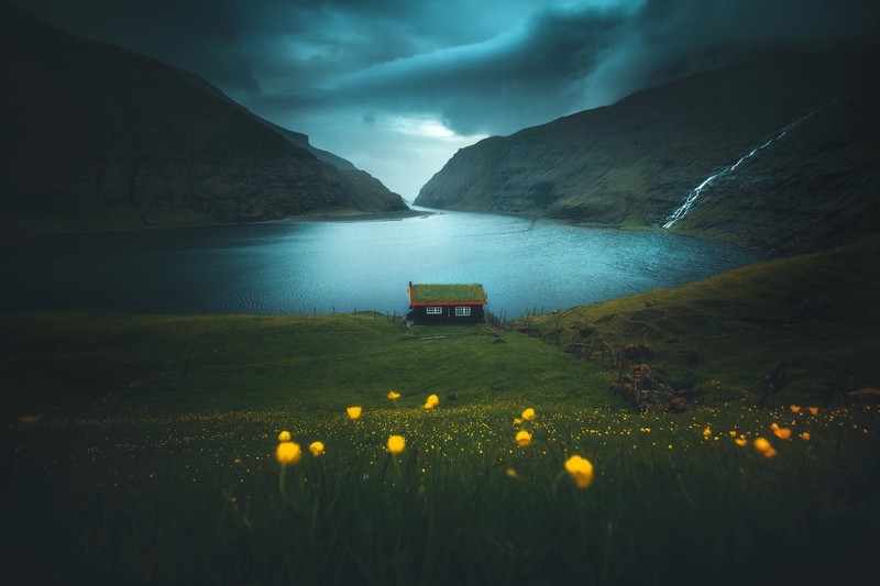 dark, fjord, landscape, nature, flowers