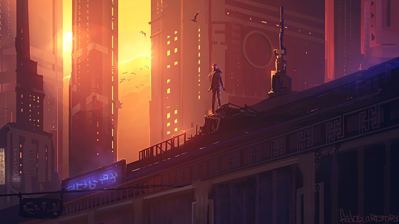 building, birds, sunset, low-angle