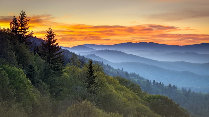 nature, landscape, mountains, clouds, sky, trees, forest, mist, sunset, Smoky Mountains, Tennessee, USA, far view