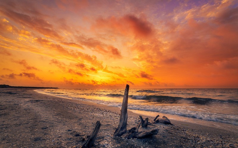 sunrise, beach, nature, photography