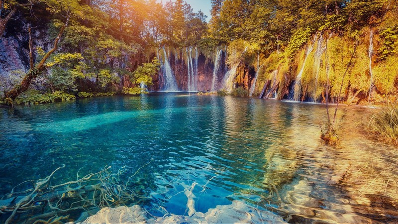 nature, landscape, trees, water, waterfall, water ripples, forest, clear water, plants, Plitvice Lakes National Park, rocks, Croatia