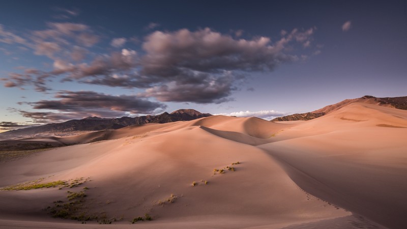desert, nature, sand, landscape