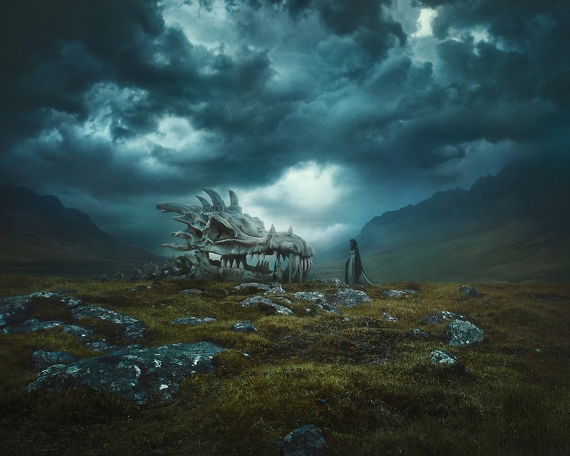 landscape, fossils, skull, fantasy art, women, field, rocks, overcast, clouds, horns, dragon, teeth
