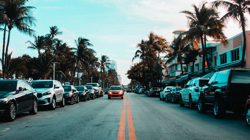 road, markings, palm trees, cars, 4k