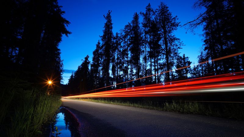 trees, road, long exposure, night, 4k