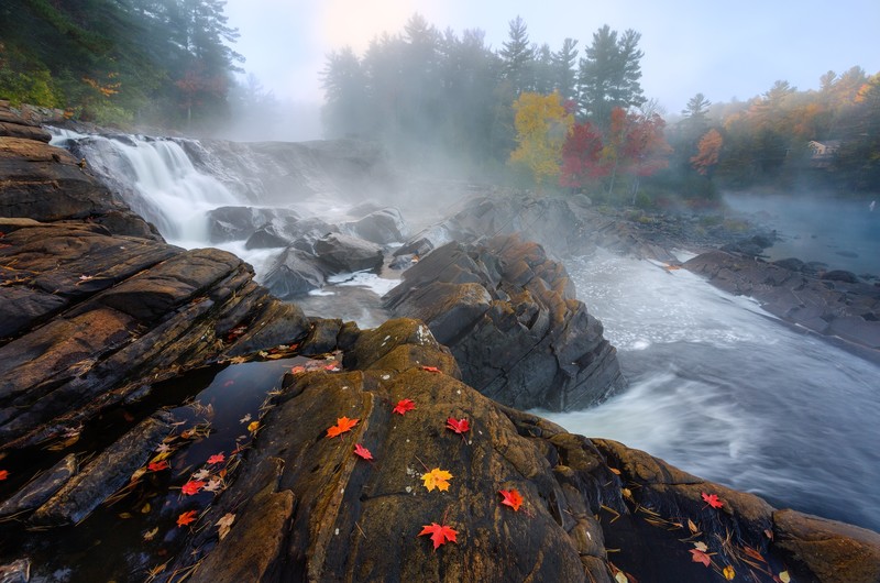 river, nature, outdoors, leaves, water, fall