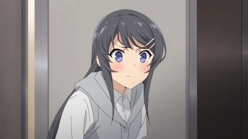 mai sakurajima, Seishun Buta Yarou wa Bunny Girl Senpai no Yume o Minai, anime, Sakurajima Mai