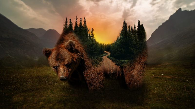Grizzly bear, forest, sunset, nature, digital art