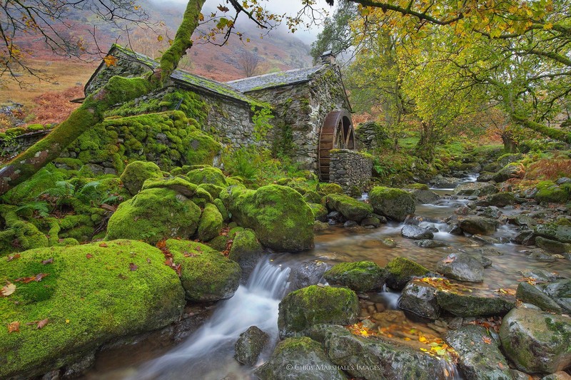 water, plants, England, Water Mills, moss, Cumbria